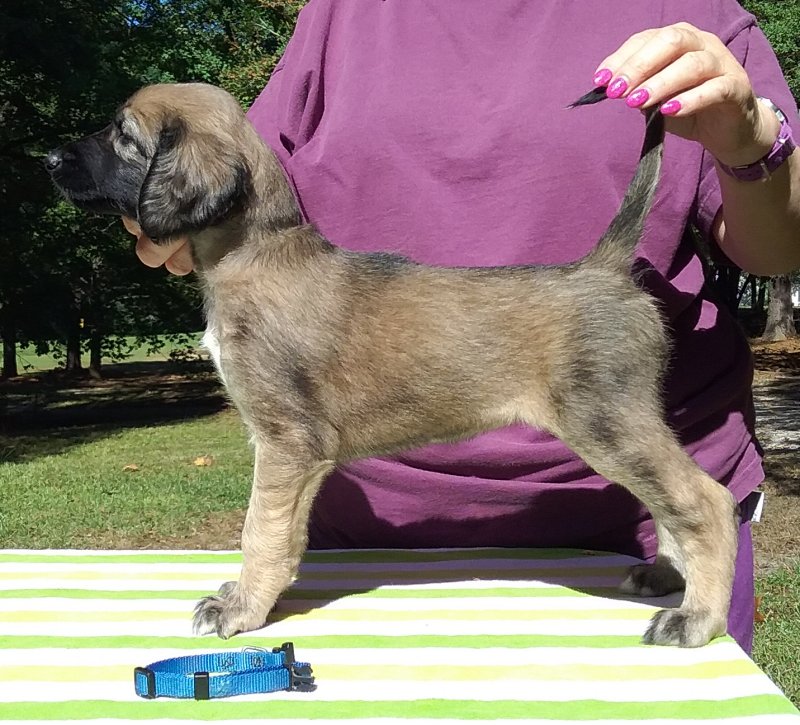 Blue Girl 5 Weeks.jpg - 1699 K